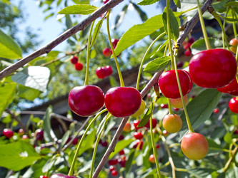 Similar image 1792603