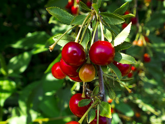 Similar image 1792624