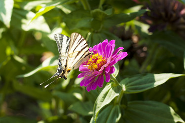 Similar image 1792710