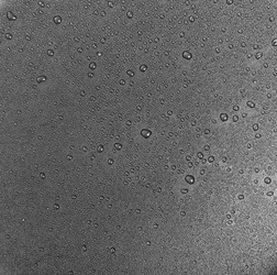 Similar image 1792769