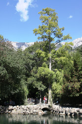 Similar image 1792804