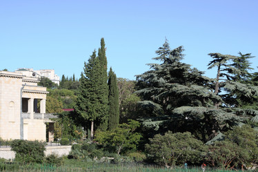 Similar image 1792823