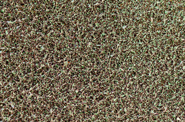 Similar image 1792879