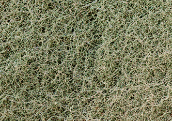 Similar image 1792880