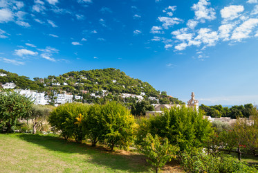 Similar image 1792886