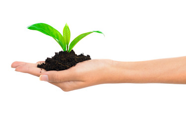 Similar image 1794625