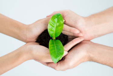 Similar image 1794628