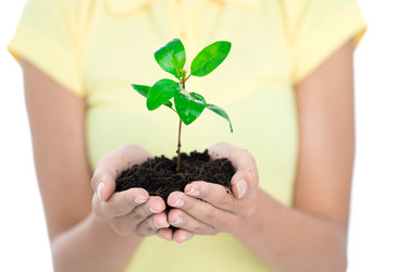 Similar image 1794629