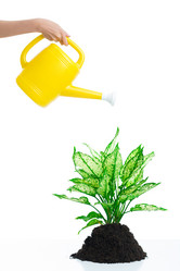 Similar image 1794631