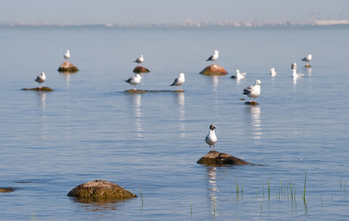 Similar image 1794903