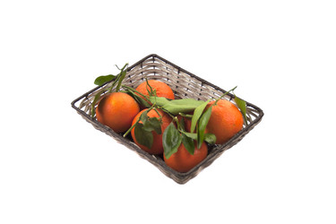 Similar image 1794910