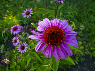 Similar image 1794918