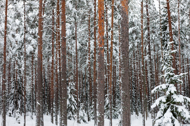 Similar image 1795162