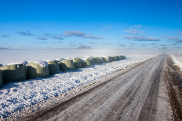 Similar image 1795164