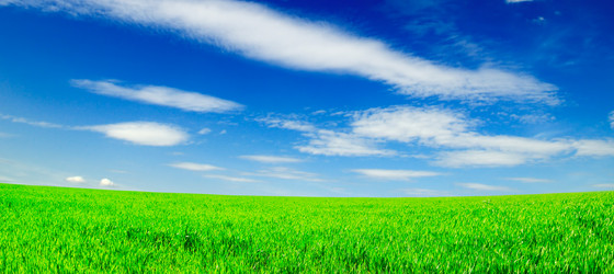 Similar image 1795169