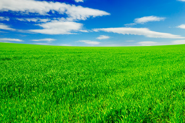 Similar image 1795172