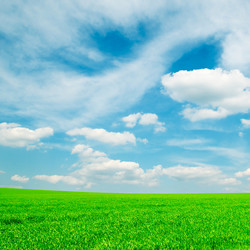 Similar image 1795176