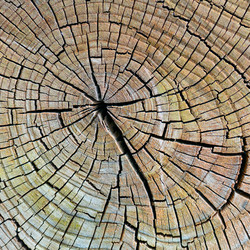 Similar image 1795180