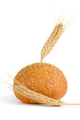 Similar image 1795227