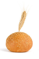 Similar image 1795229