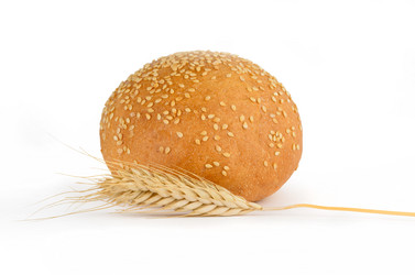 Similar image 1795231