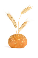 Similar image 1795232