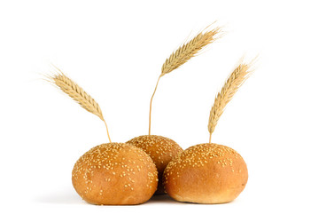 Similar image 1795234