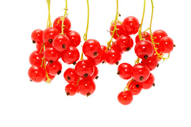 Similar image 1795252