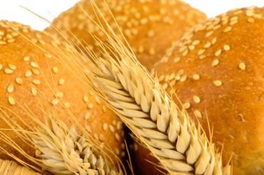 Similar image 1795263