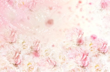 Similar image 1795399