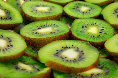 Similar image 1795589