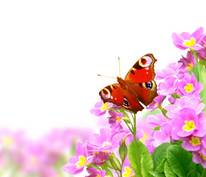 Similar image 1795631