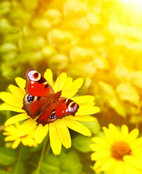 Similar image 1795641