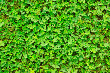 Similar image 1795645