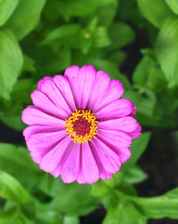 Similar image 1795647