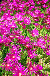 Similar image 1795651