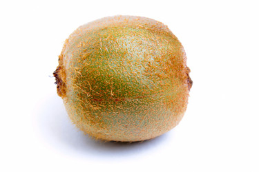 Similar image 1795652