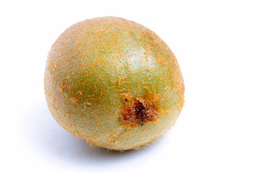 Similar image 1795656