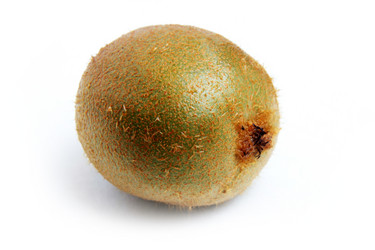 Similar image 1795658