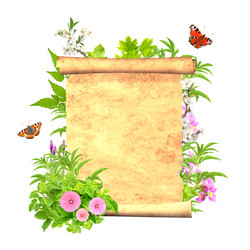 Similar image 1795674