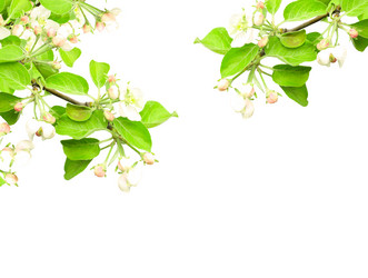 Similar image 1795682