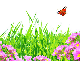 Similar image 1795690