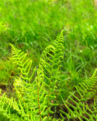 Similar image 1795694