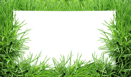 Similar image 1795704