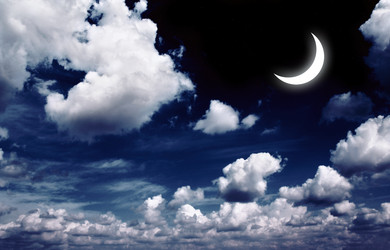 Similar image 1795708