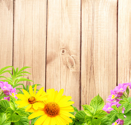 Similar image 1795725