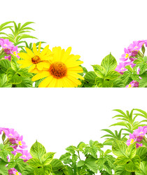 Similar image 1795737