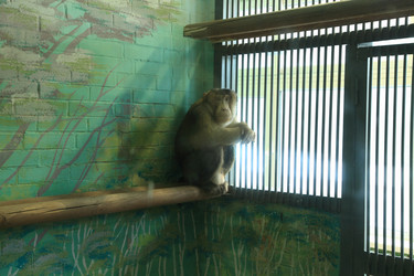 Similar image 1795869