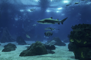 Similar image 1796126