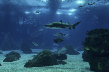 Similar image 1796127